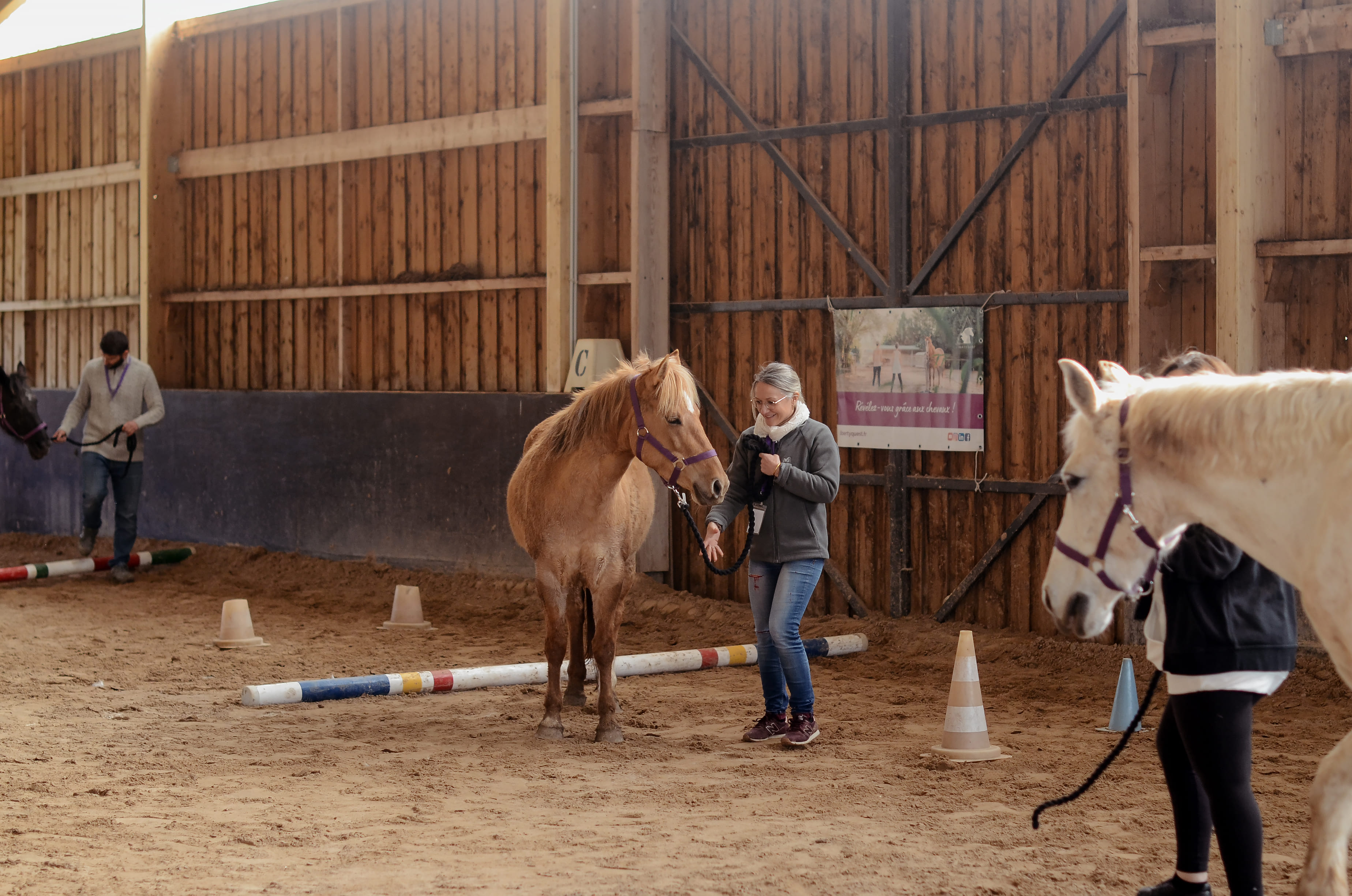 management équicoaching formation qualiopi chevaux cheval aix en provence