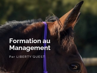Formation au management : pourquoi les compétences comportementales sont devenues stratégiques en entreprise