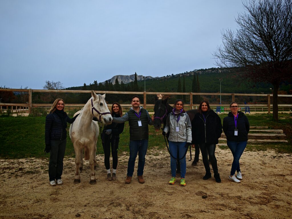 Équipe de collaborateurs en séminaire de rentrée d'équicoaching en Provence avec Liberty Quest.
