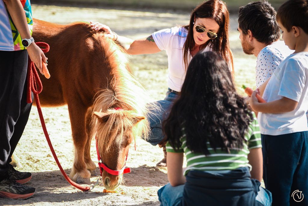 Médiation animale et interaction enfants avec un poney pour l'association Le Cœur de Léa